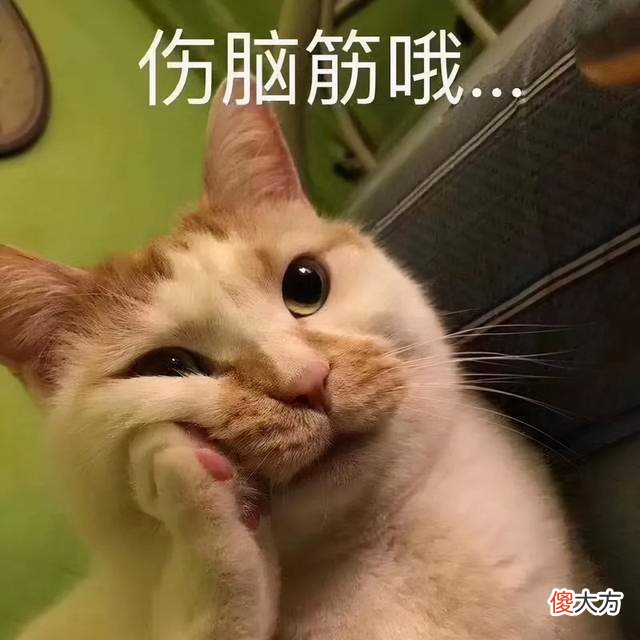 孩子识字少、阅读量上不去，妈妈无奈表示：我不想再当“复读机”