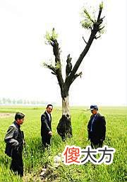 【爱历史】从遥望故乡66年，到无名女兵魂归故里，牺牲时年仅18岁