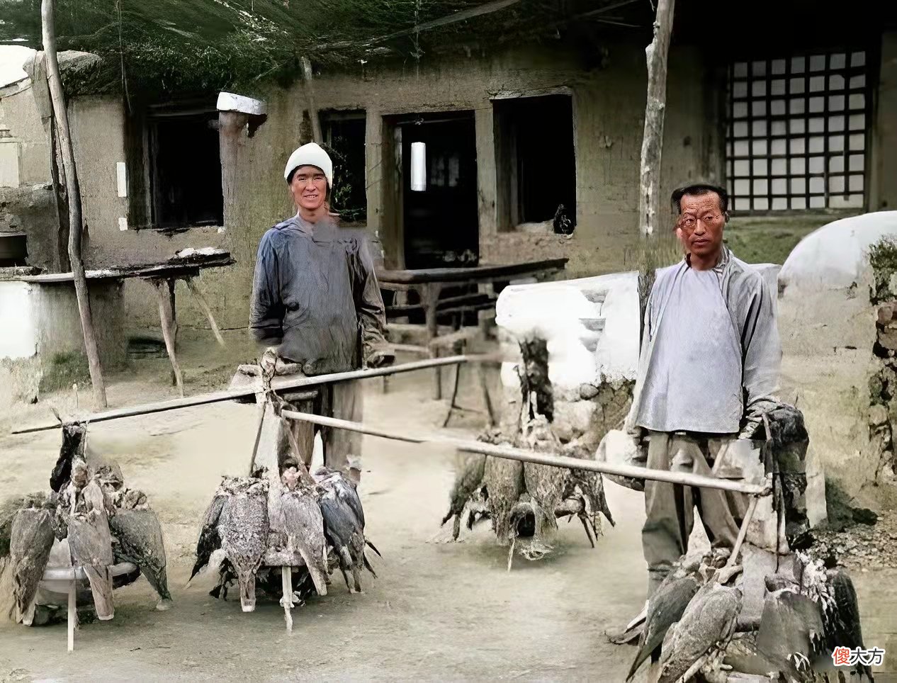 【爱历史】老照片:蒙古包外的小孩,卖杂货的清朝老人,坐独轮车的男子