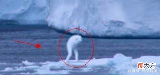 南极洲发现神秘白色生物，高近30米，它究竟会是什么？