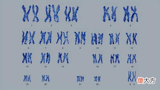 没有痛觉、疲劳感和饥饿感是啥体验？这位英国女孩正在经历这一切