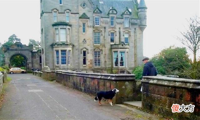 英国神秘的“鬼桥”:600多只狗在此自杀,专家终于抓住了凶手