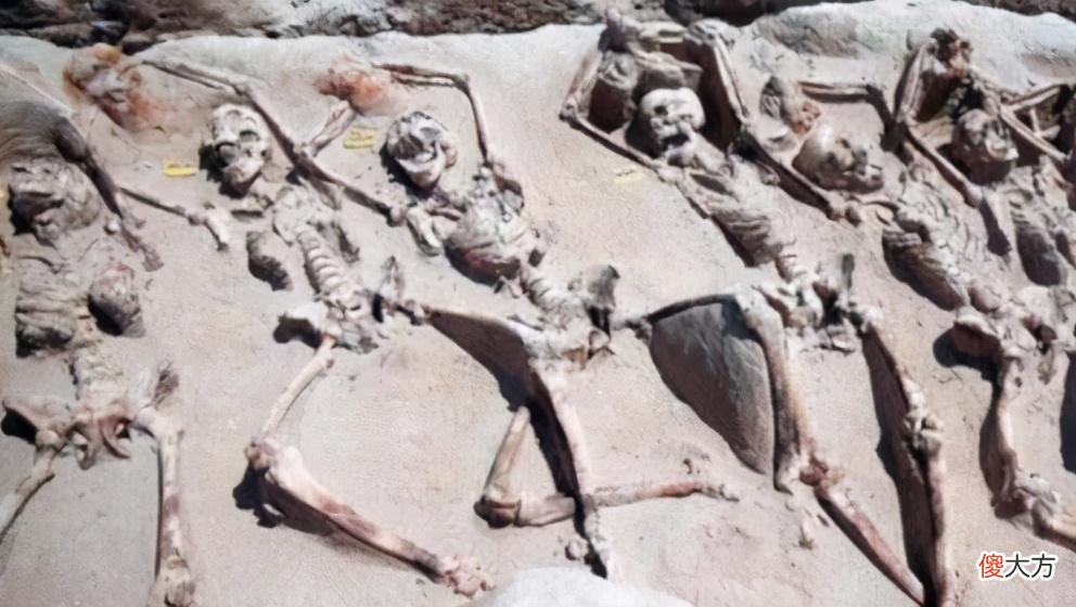 【历史故事】古代要殉葬的女子，不想死怎么办？