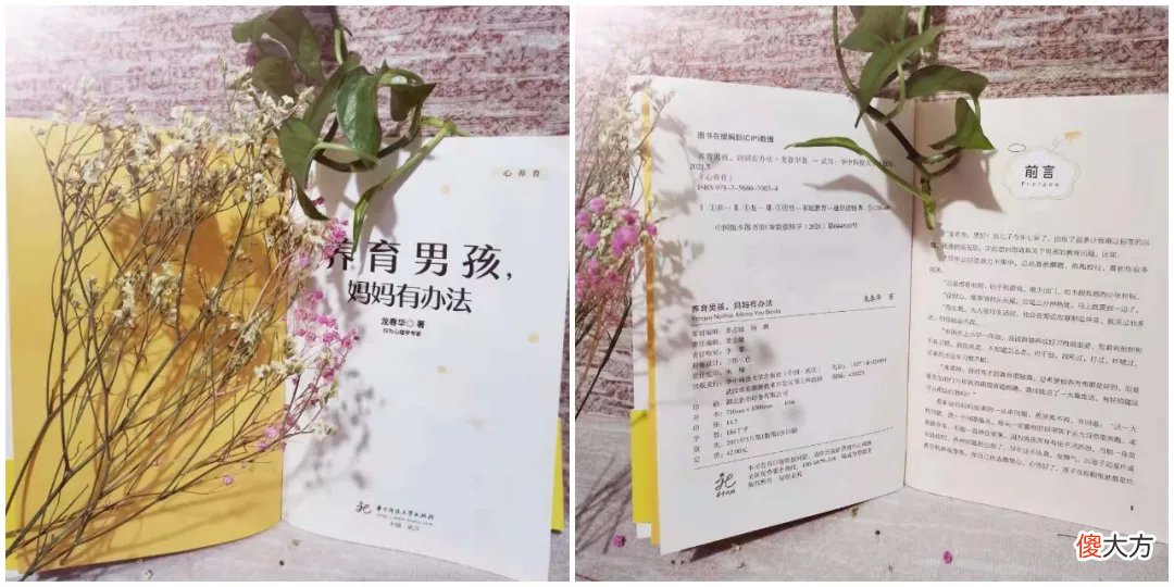 新书出版，都问我为什么要写一本《养育男孩，妈妈有办法》新作？