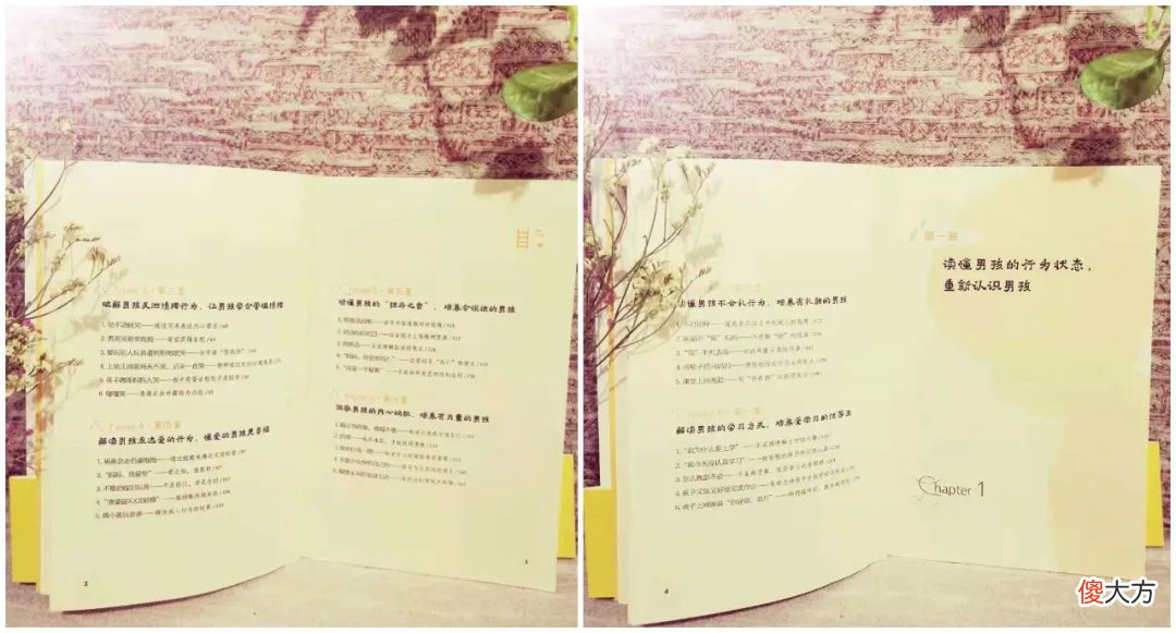 新书出版，都问我为什么要写一本《养育男孩，妈妈有办法》新作？