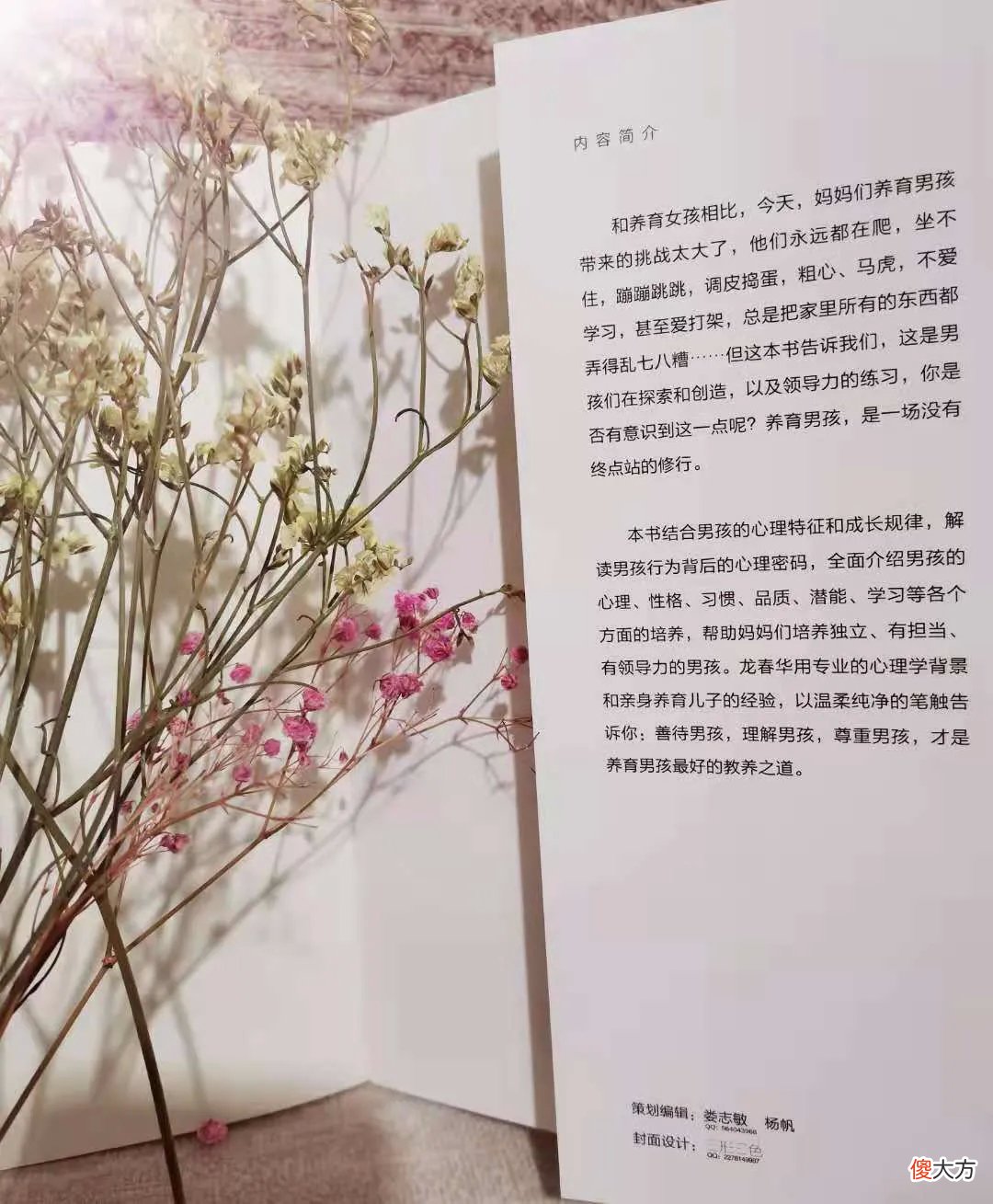 新书出版，都问我为什么要写一本《养育男孩，妈妈有办法》新作？