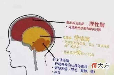 3-6岁是性格形成关键期,这4方面“使劲管”,孩子未来更出色
