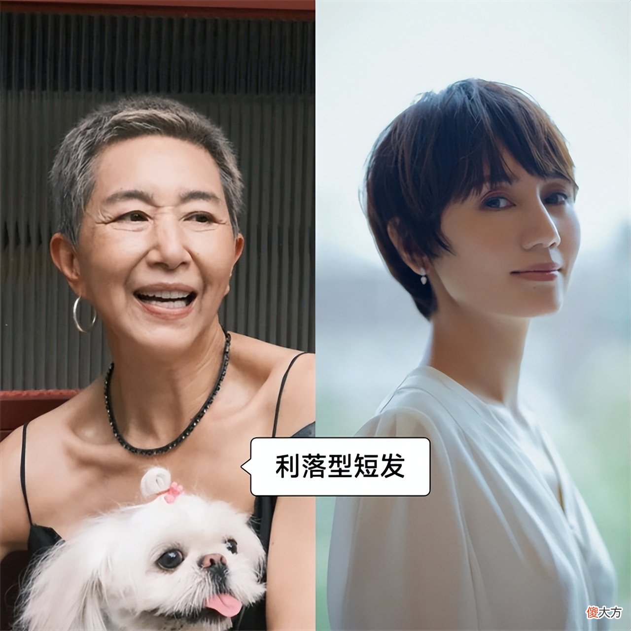 【时尚一点】等你老了,尽量别烫这2种的“老年头”,多烫另外3种,洋气又减龄