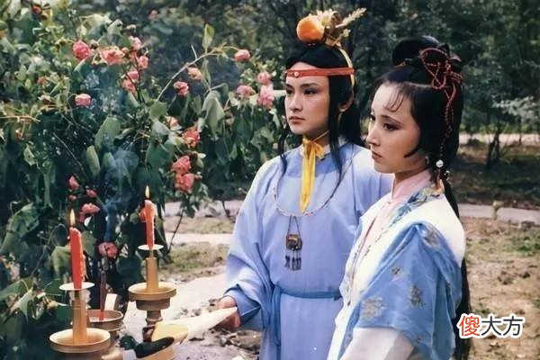 【爱历史】《红楼梦》中的“雀金裘”是什么意思？