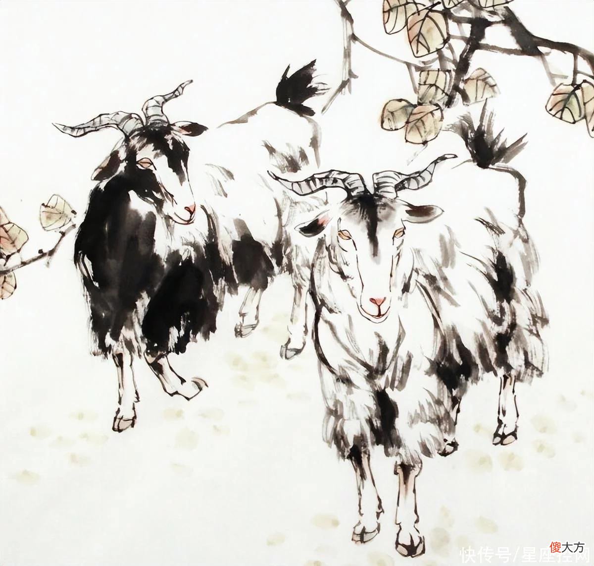 【星座控】生肖羊的生日在农历几月，做人圆滑头脑好，是赚大钱的料