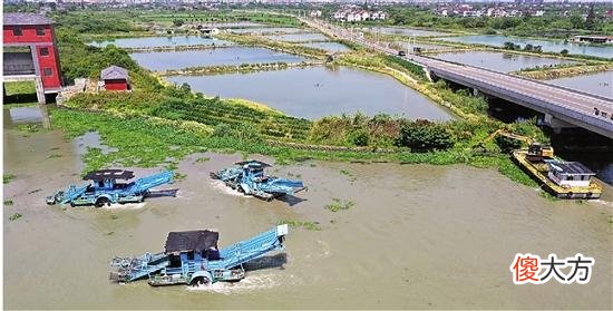 【历史故事】跨区联动 水岸同治