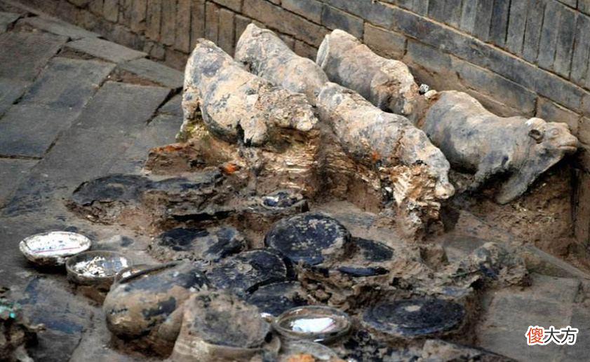 【爱历史】杨广杀死哥哥杨勇，1000年后他的墓被人意外挖开，这个人也叫杨勇