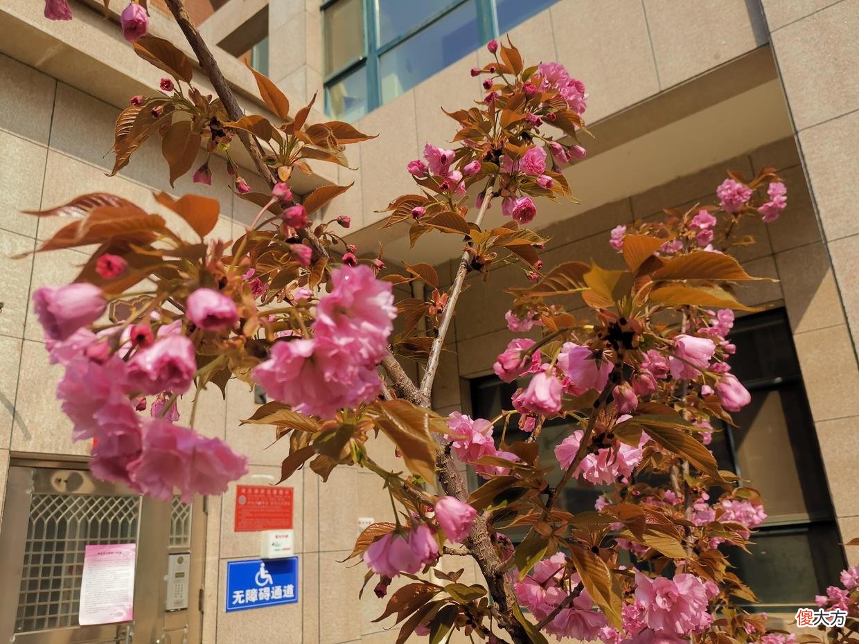 【爱历史】曾国藩：居官不过偶然之事，居家乃是长久之计