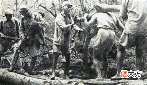 3万人进山，出来仅3000人，野人山到底多恐怖？一位老兵曾这样说