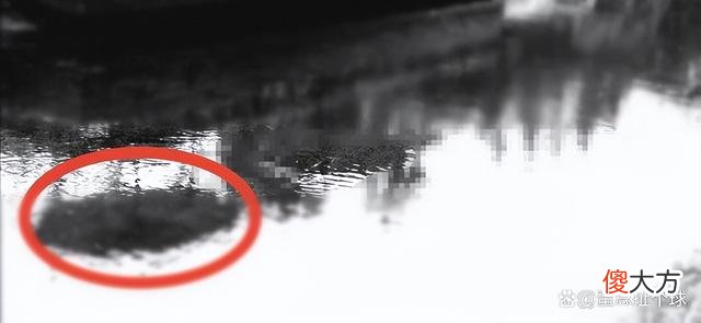 尼斯湖水怪之谜：疯狂流传1500多年！背后的真相究竟是什么？