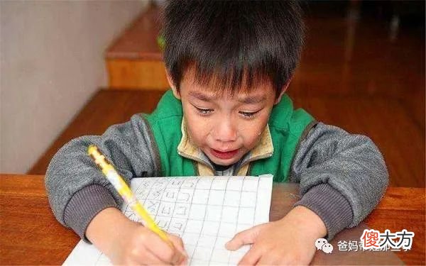 小学生名字88笔，考场上因不会写急哭