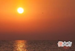 丙火日主生于子月如何取用神?