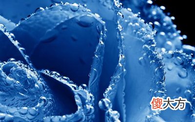 癸水日主生于申月如何取用神?