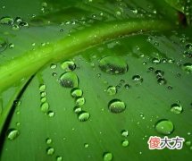 癸水日主生于亥月如何取用神?