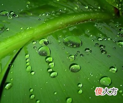 癸水日主生于亥月如何取用神?