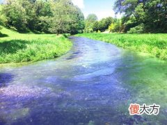 壬水日主生于酉月如何取用神?