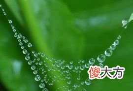 癸水日主生于巳月如何取用神?