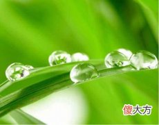 癸水日主生于戌月如何取用神?