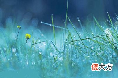 癸水日主生于子月如何取用神?