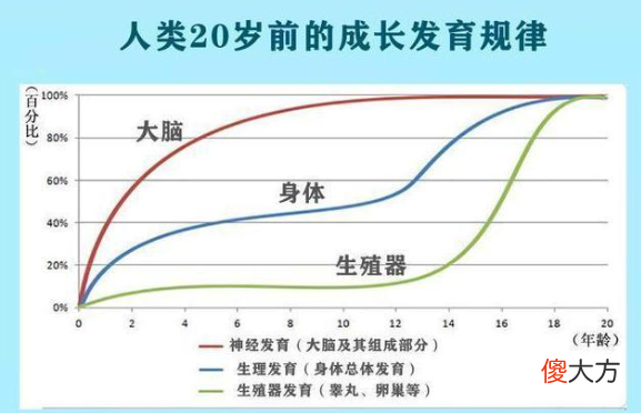 哈佛研究：孩子一生有3次“变聪明”的机会，建议为孩子抓住一次