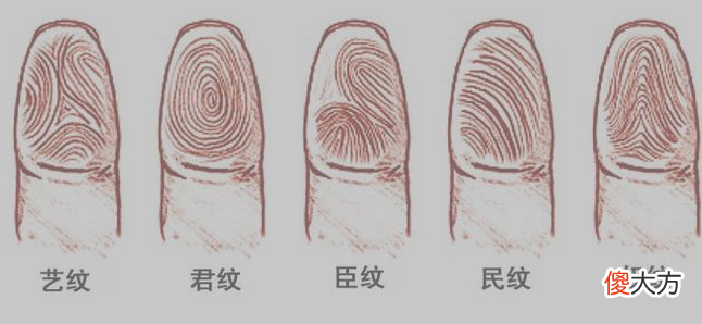 指纹算命二十八-簸箕、簸箕、斗、簸箕、簸箕