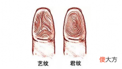 指纹算命二十五-簸箕、簸箕、斗、斗、斗