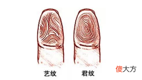 指纹算命二十五-簸箕、簸箕、斗、斗、斗