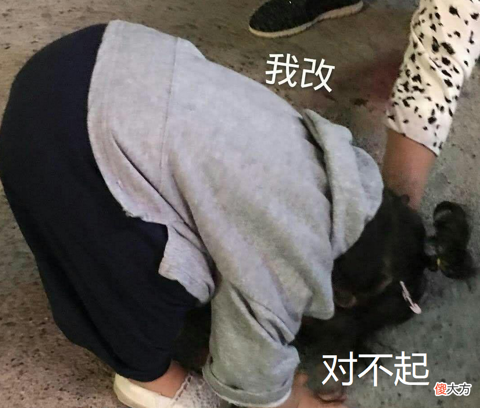 小学生作文《我只穿耐克鞋》火了，小小年纪就炫富可不行