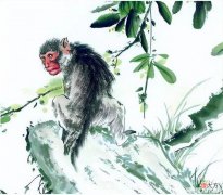 【十二星座】生肖猴的人生道路啥时候最顺畅？好事一连串，福气不减分