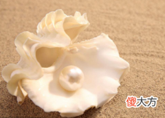 3月19日诞生石-珍珠