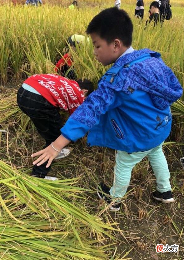 吃什么都别忘了吃这个，否则他不知道生活不容易，更不知道如何改变自己未来