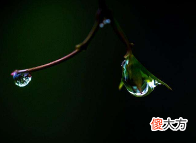 7月31日诞生石-绿宝石