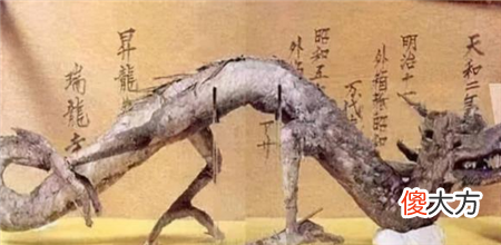 中国发现的2条“真龙”,一条被日本供奉寺庙中,一条已2亿多岁