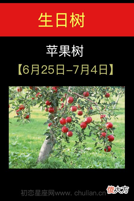 6月25日-7月04日(苹果树)