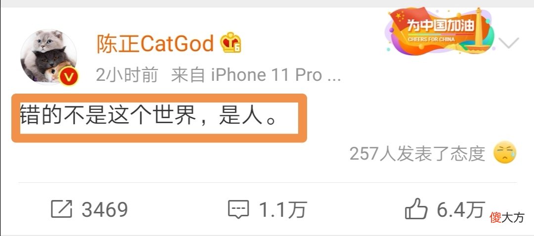 【游戏迷】四年职业路到此结束，猫神当初不该留队，林不用猫，只为证明自己？