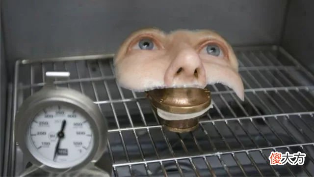 16岁少女被猎枪打中变“无脸人”，多年后为了儿子装上新脸！