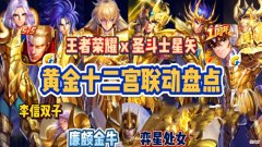 【游戏迷】余下9款圣斗士皮肤归属曝光？水瓶座是诸葛亮，元歌错失双子座！