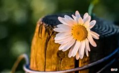 【爱历史】如何懂得冷庙烧香，结交贵人