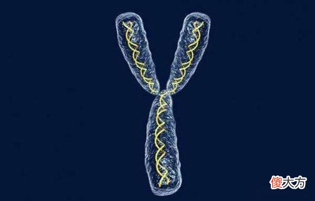 男人有这3个特征，相对来说更容易生儿子，看你家那位占了几样？