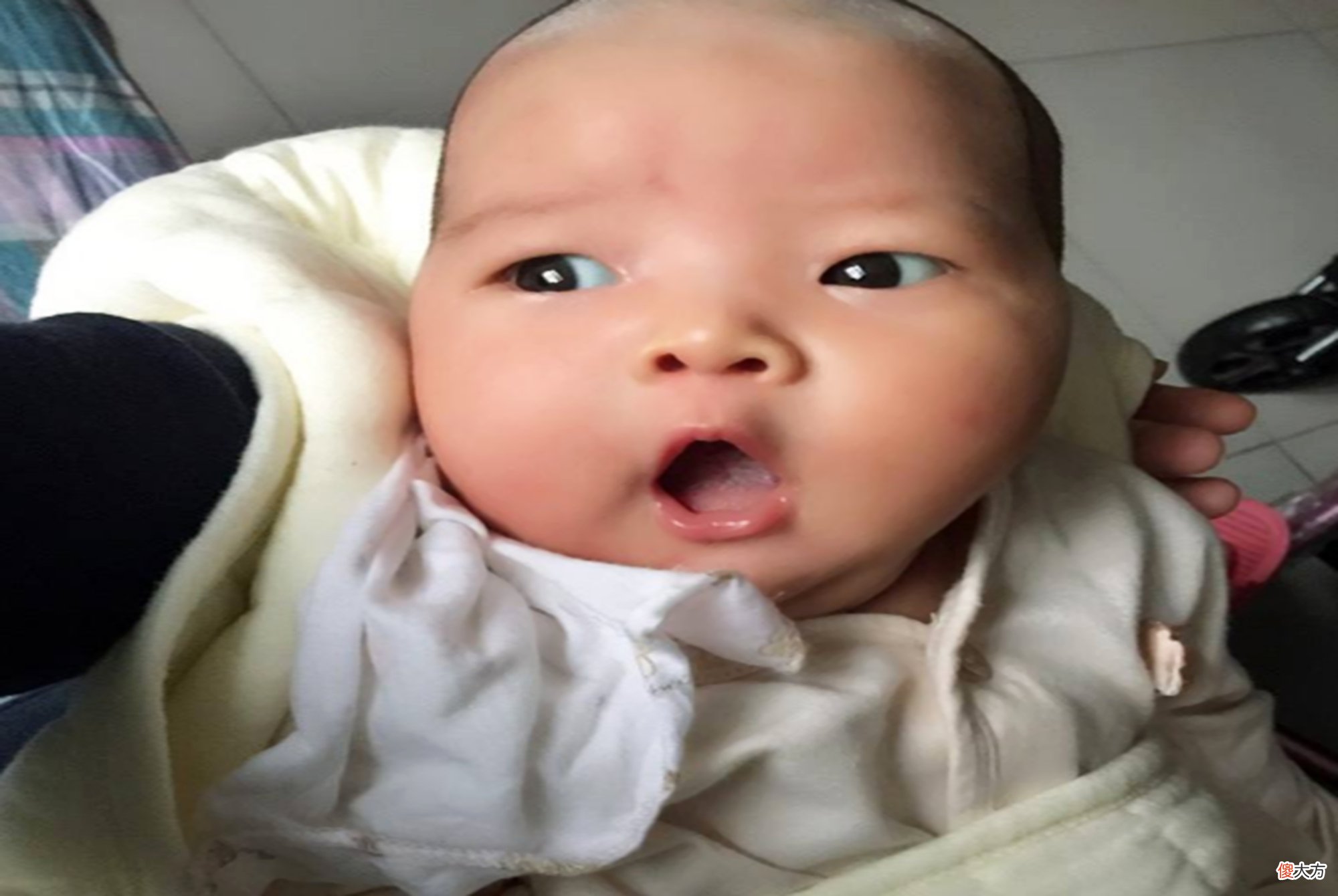 美国儿科学会：坏毛病不是错，也许是娃脑力超常的表现，别急着改