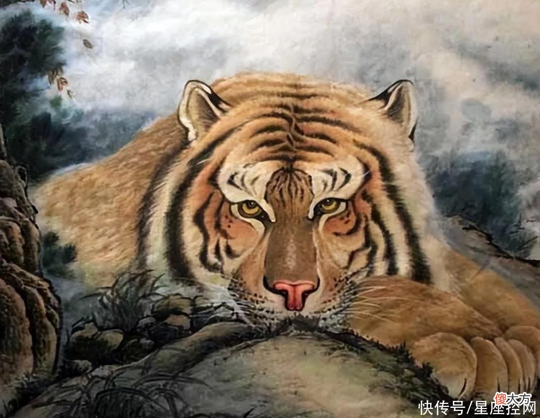 【十二星座】哪几个生肖有远见，工作压力虽然大，但也要用心努力，迎来希望