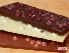 Gianduja with Crisped Rice 6月19日生日巧克力-榛子蓉斑马