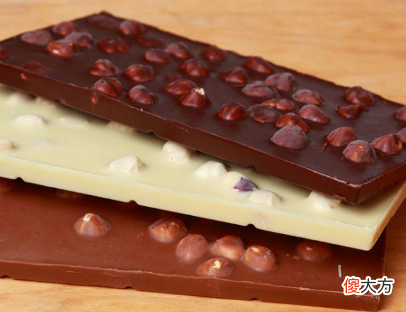 Gianduja with Crisped Rice 6月19日生日巧克力-榛子蓉斑马