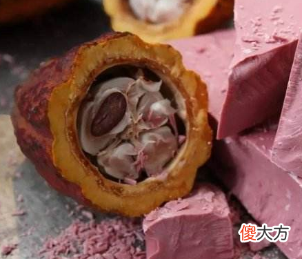 7月7日生日巧克力-朗姆情人（Almond Ganache with Rum Flavorin