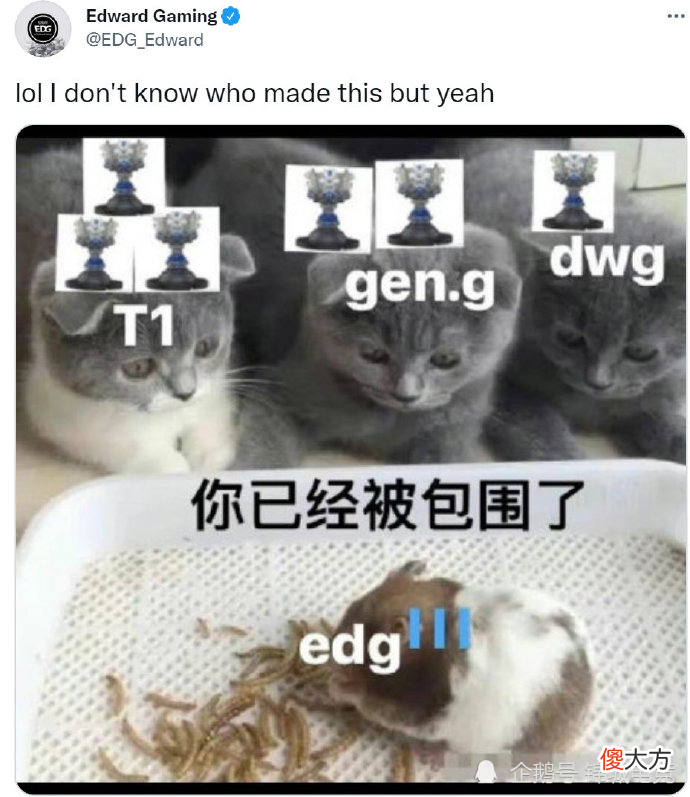 【游戏迷】峡谷晚报:EDG官推整活自己被包围了 小天回国首播谈自己状态